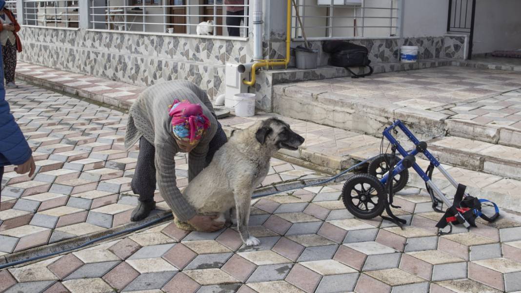 'Gümüş' hayata adım attı 4
